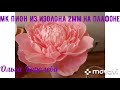 МК пион из изолона на плафоне