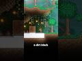 The RAREST Item in Terraria?!
