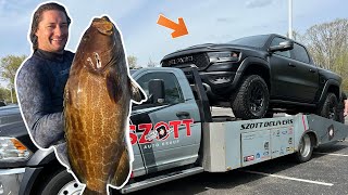 New TRUCK delivery & Spearfishing! Catch and Cook