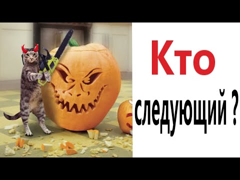 Приколы! КОТ ТРОЛЛИТ ХЭЛЛОУИН - МЕМЫ!!! Смешные видео от – Доми шоу!