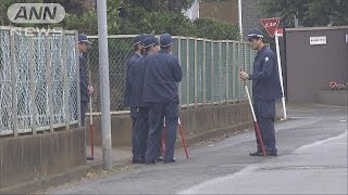 体長1mのグリーンイグアナ逃走中　人噛む可能性も(15/06/14)