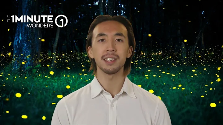 How do fireflies light up?