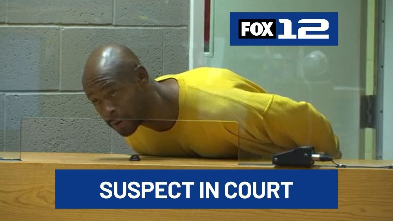 Salem stabbing spree suspect faces charges in court - YouTube