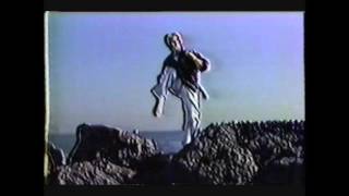 002 Don Shapland 1982 Isshinryu Lower Basics