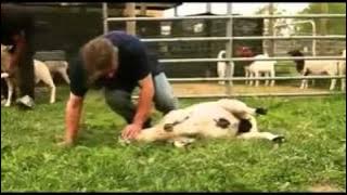 Power Of Bismillah.mp4