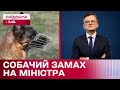 На Дмитра Кулебу напав собака! Що сталося з посадовцем?