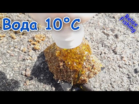 🐟 СИЛЬНАЯ арома по холодной воде - реакция рыбы. Подводная съемка рыбалки. Карась, плотва, уклейка.