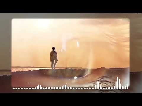 مجدي الشربيني مدد