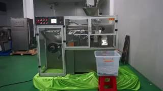 DC 228 110 Horizontal Packaging Machine 2