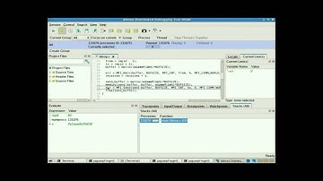 Debugging at Petascale with Allinea DDT