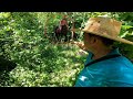 Centauro Real Se Aparece En Un Bosque De El Salvador