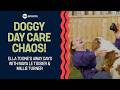 Ella Toone's Away Days | Working at a Doggy Day Care with Maya Le Tissier &amp; Millie Turner 🐶
