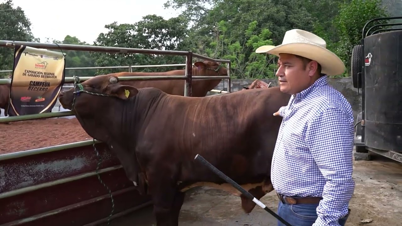 Temantipa Beefmaster, Xilitla Huasteca Potosina Episodio 2