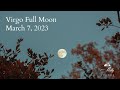 Virgo Full Moon - Preparing For Life Changes You're Already Feeling and Sensing - 2023 Astrology