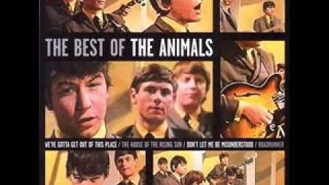 The Animals   We