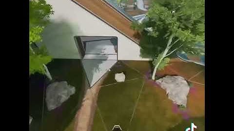 Perfect EMOTE? Apex Legends