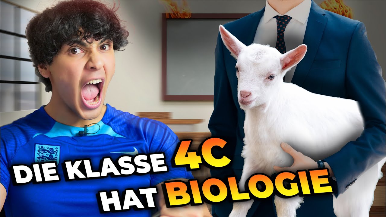 Wenn die Klasse 4C MATHE hat 😳😂 | Schule mit 4C | Mohi__07