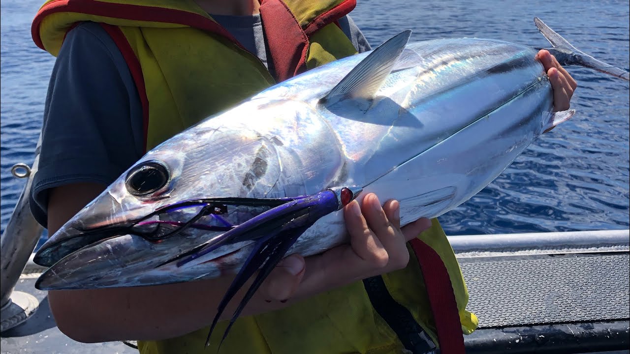 Fishing Nz , Bait Gathering