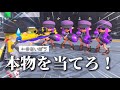 ドッキリ わさびがたくさんいたら愛棒ちゃんはどれが本物か分かるのでしょうか ドッキリ わさびがたくさんいたら愛棒ちゃんはどれが本物か分かるのでしょうか