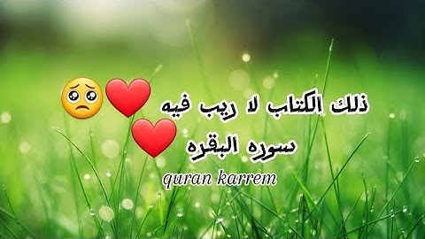 ذلك الكتاب لا ريب فيه 🥺❤️ سورة البقرة بصوت جميل 😍😍