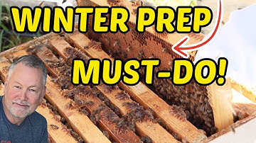 Bijenhouden: Hoe je ramen kunt veranderen om de winter te overleven