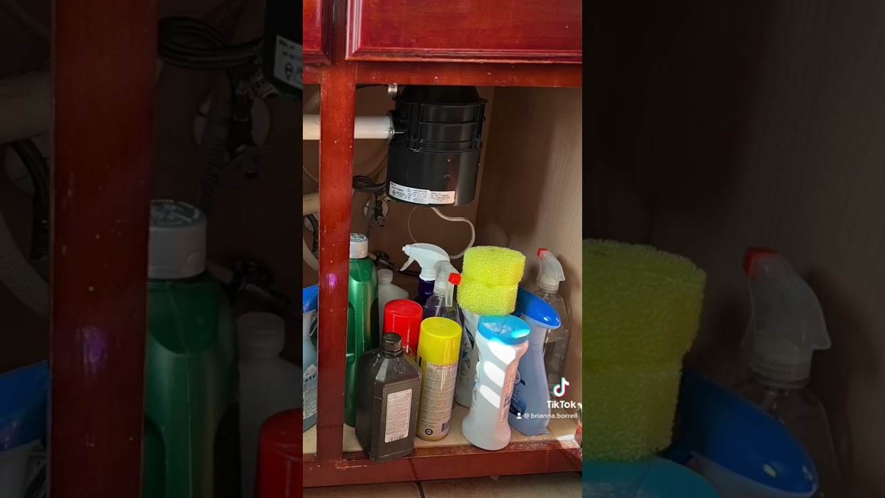 Ultimate Dollar Tree Under Sink Organization  #dollartree #dollartreehaul #organization