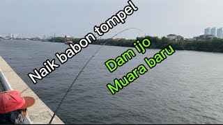 Mancing muara baru dam iijo naik tompel babon #damijomuarabaru