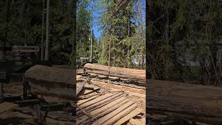 Flipping over 24ft  cedar logs. 36 inches around!!