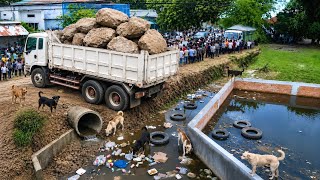 First Start New Project!!Massive Boulder Delivery! Heavy Dump Truck Unloading Giant Rocks Foundation