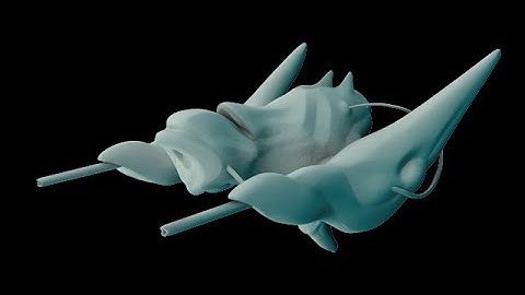 SpaceShip Time Lapse 3D