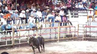 2nd Toro Huascato 2010