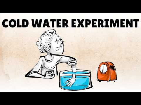 The Peak End Rule: What You Actually Remember From a Experience