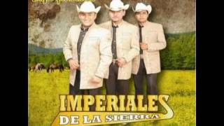 Video thumbnail of "Trio Imperiales de las Sierra: Se fue mi amor"