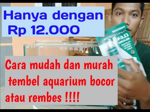 Cara memperbaiki akuarium yang bocor. Baik kali ini saya berbagi cara menambal akuarium yang bocor,c. 