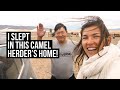 Living with Family in Mongolia (CAMEL HERDERS)