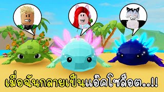 พี่ฝนพี่เอกปุ๊กปิ๊กเป็นเป็นแอ๊คโซล็อต มีเพื่อนเป็นสัตว์ใต้ท้องทะเล 🐢🦎🦈🐬 Roblox Animal Sim Underwater