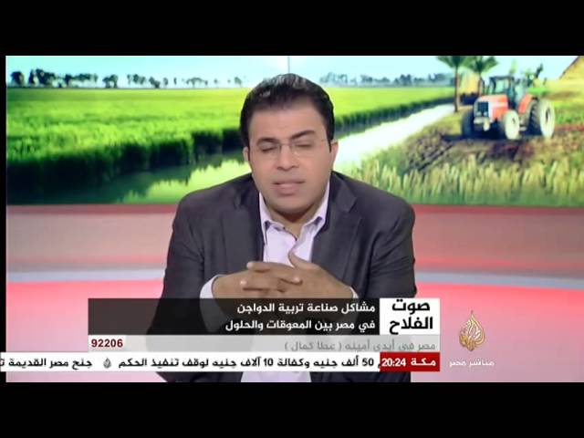 صوت الفلاح..مشاكل صناعة تربية الدواجن
