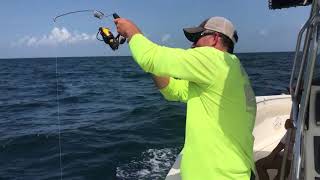Emmrod fishing pole for Red Snapper 