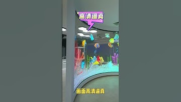 Transparent LED Screen & Interactive Projection | Immersive 3D Display for Events and Exhibitions