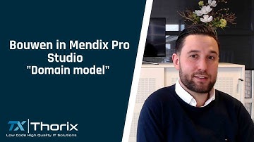Thorix - Building in Mendix pro studio "Domain Model".