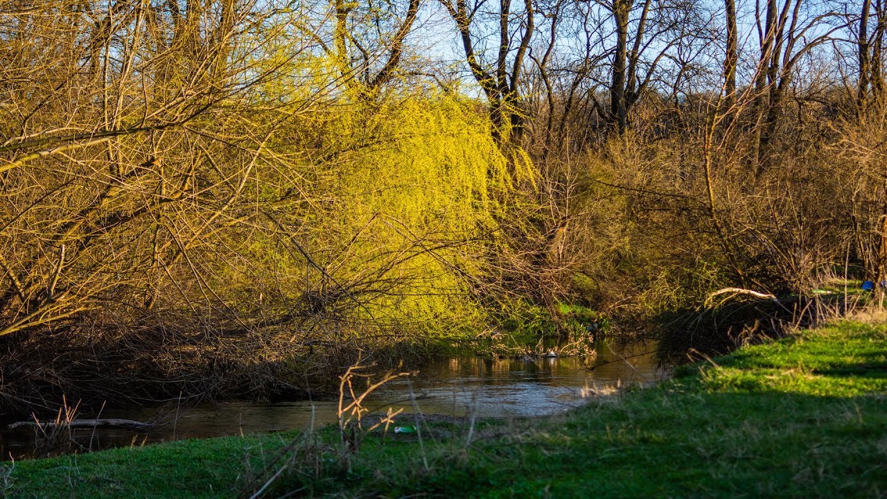 Pescuit pe raul Neajlov si offcamping cu rulota la Iepuresti part. II
