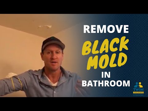 How To Remove Black Mold From Your Bathroom Ceiling