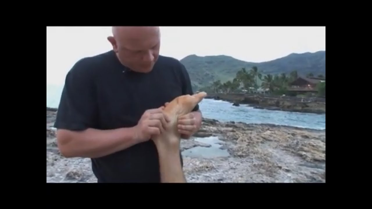 Hawaiian Massage Therapy Raynor style. Part 4 of Raynor massage from