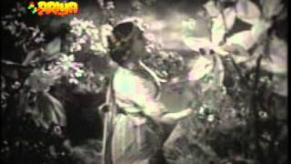  Jogi Jogan Khadi Tere Dwar Lyrics in Hindi