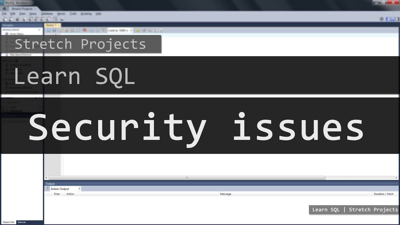 Learn SQL - 30 Security issues java sdk