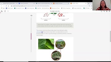 Grade 7: Matter and Energy in Ecosystems, Lesson 2 (Part 2 of 5)