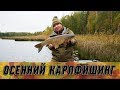 Карпфишинг поздней осенью. Ловля карпа по холодной воде!