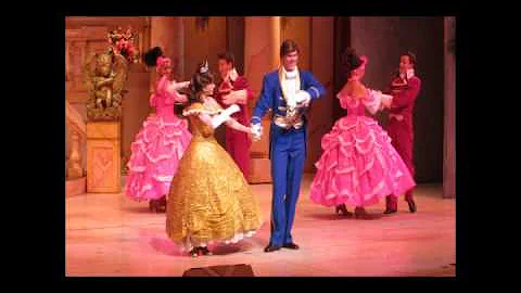 First two DisneyTrips ( Tim Furlong and Melissa He...