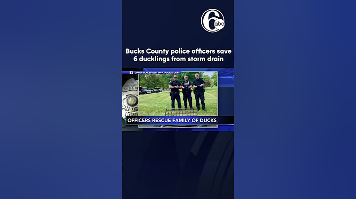 'Ducky Detainment': Police rescue 6 baby ducklings from storm drain