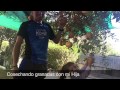 El beneficio de tener árboles frutales